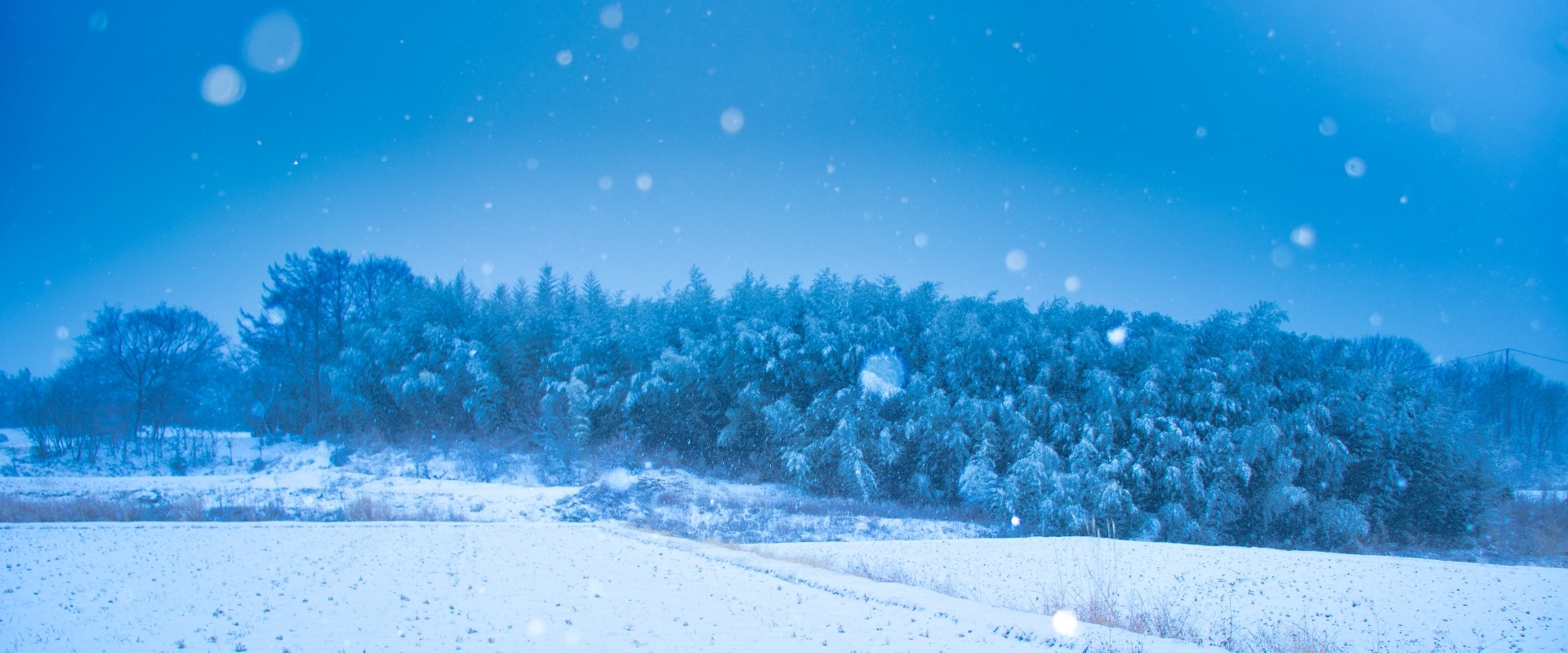 山崎法務事務所 メイン画像